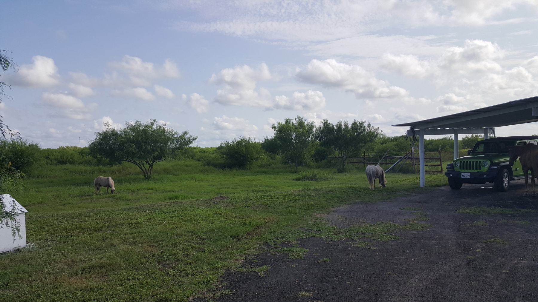 Bayview Citrus Grove property photo 9