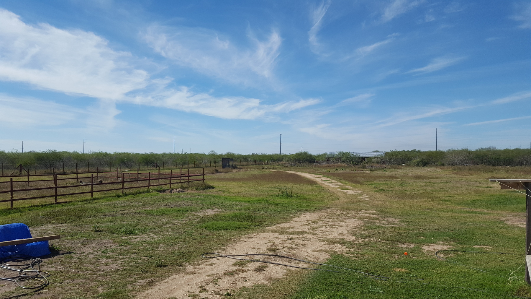 Bayview Citrus Grove property photo 19
