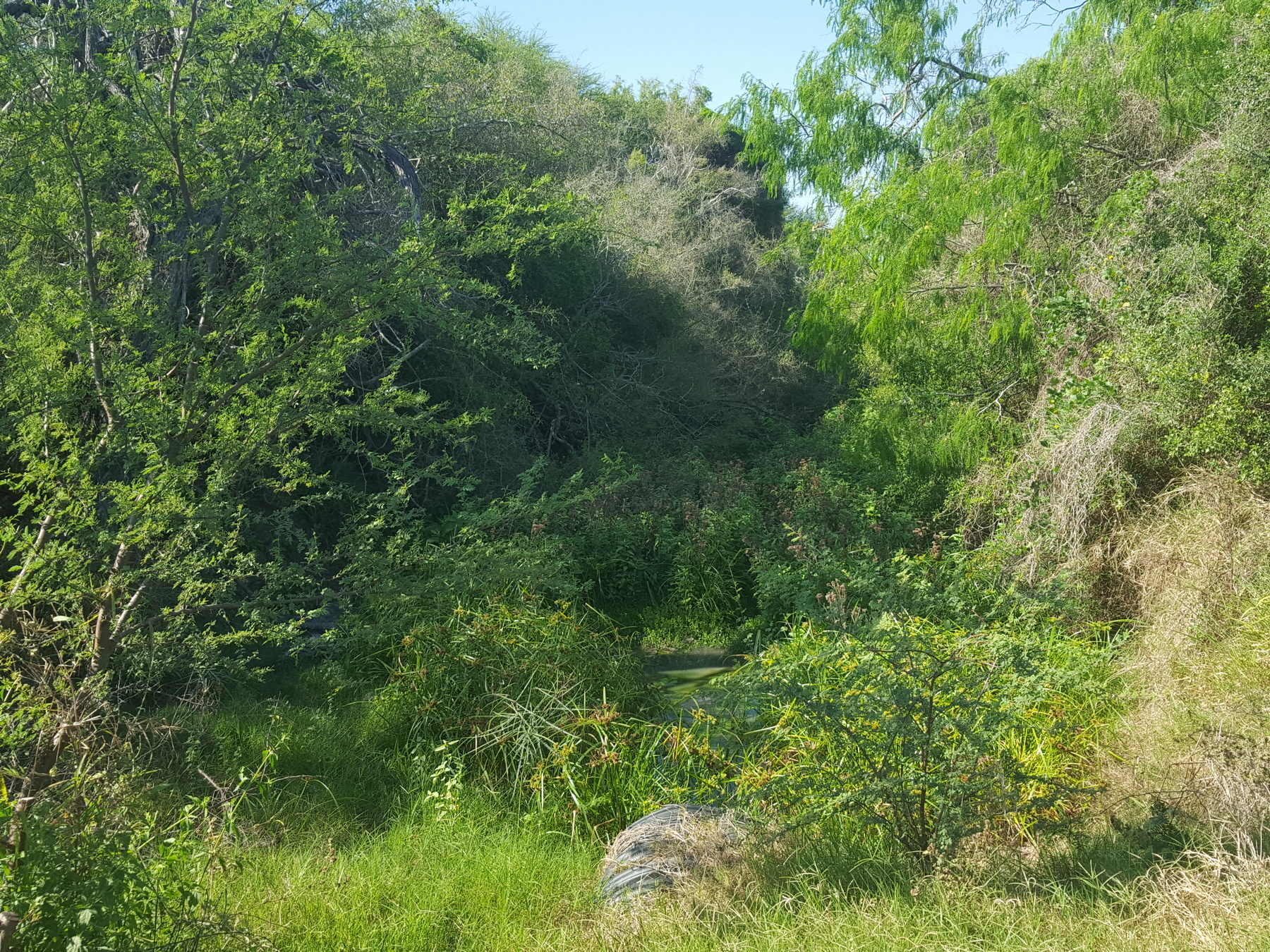 Bayview Citrus Grove property photo 52