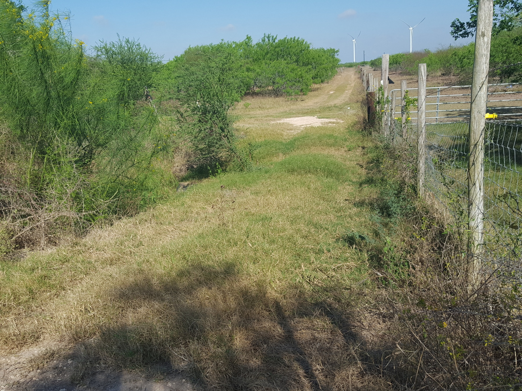 Bayview Citrus Grove property photo 58